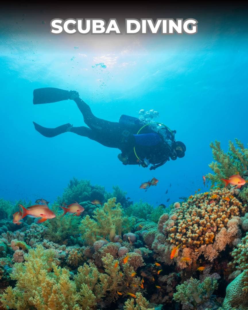 Scuba Diving Adventures in Fethiye or Ölüdeniz