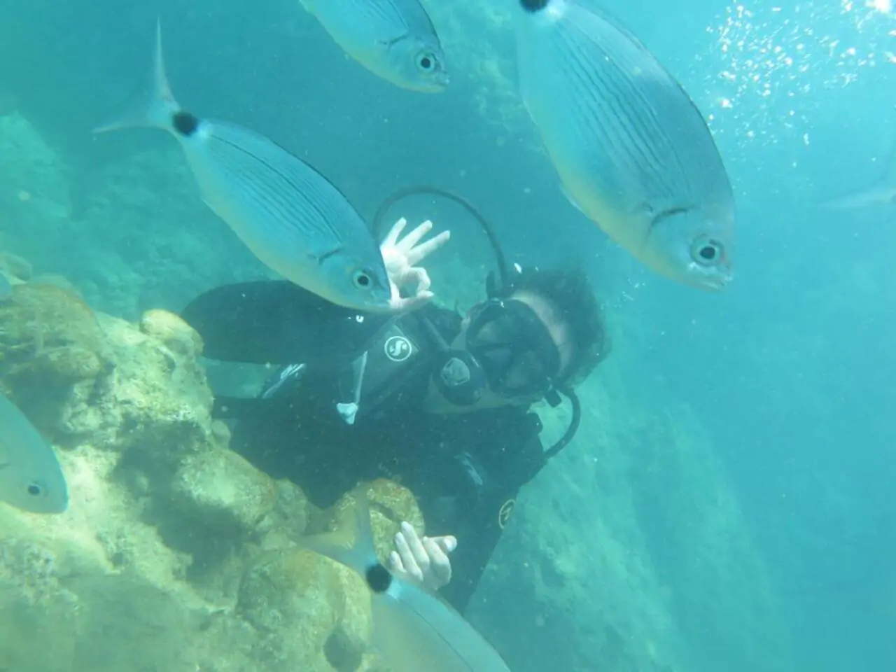 Alanya Scuba Diving Tour Alaaddin-1 Boat
