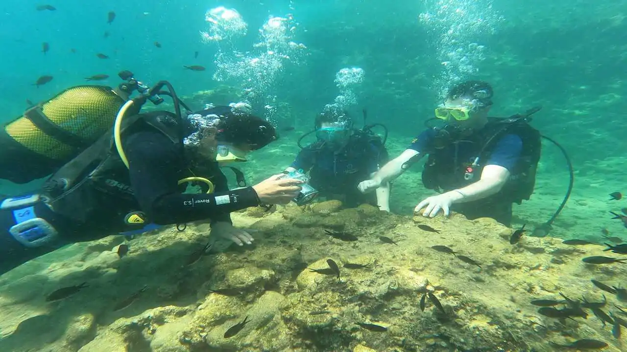 Scuba Diving Tour from Alanya (Alaaddin-1 Boat)