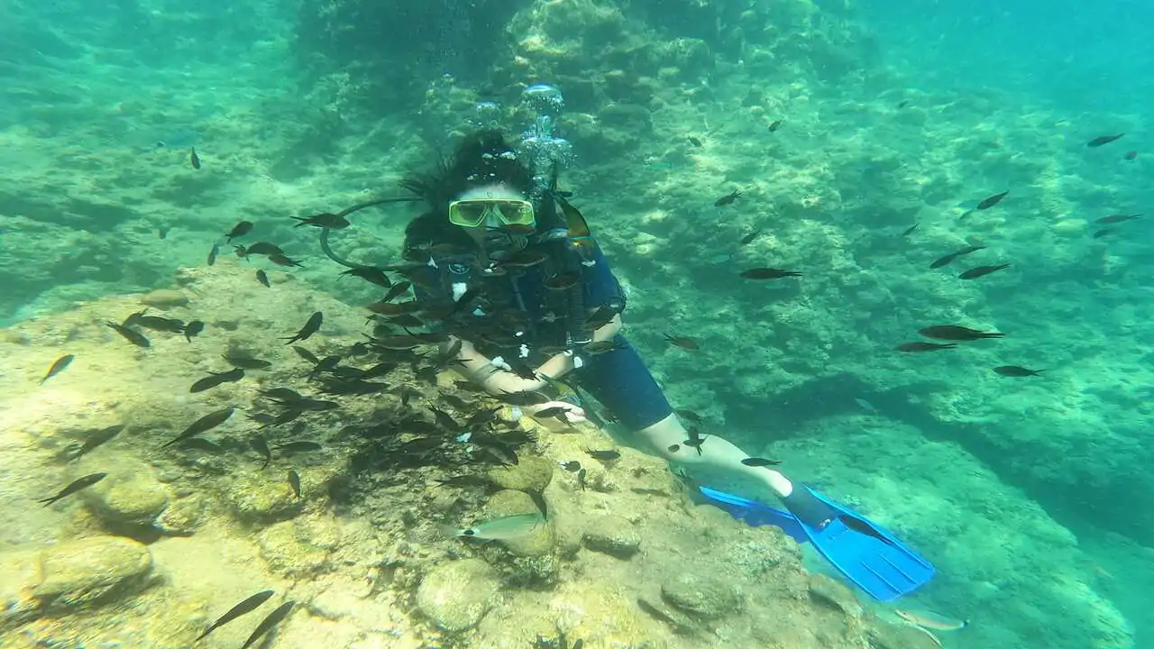 Scuba Diving Tour from Alanya (Alaaddin-1 Boat)