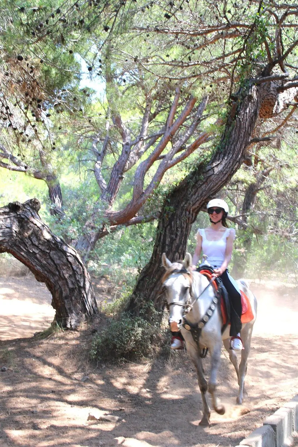 Alanya Horse Safari Tour: An Adventure in Nature