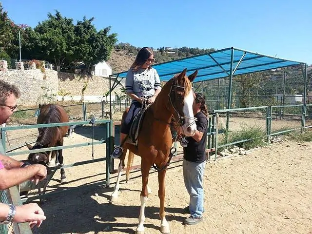Alanya Horse Safari Tour: An Adventure in Nature