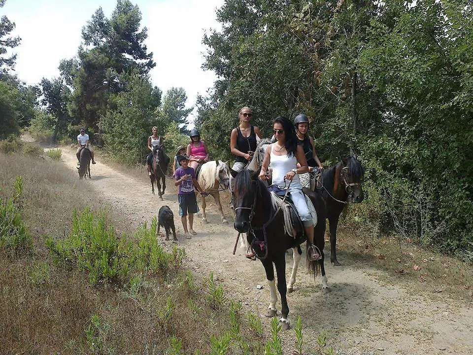 Alanya Horse Safari Tour: An Adventure in Nature