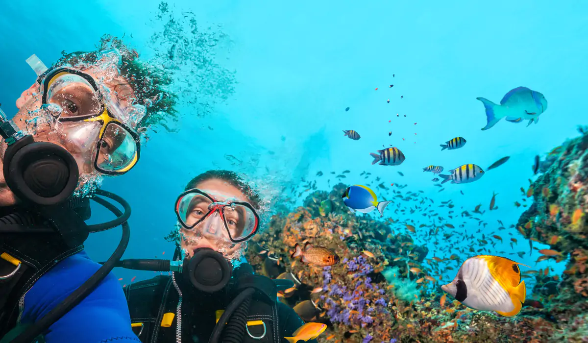 Dive into Adventure: Scuba Diving Tour Experiences for All