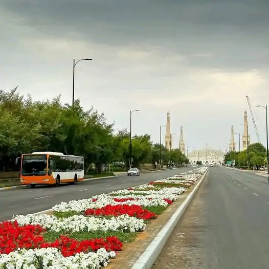 From Dubai: Private Al Ain City Tour