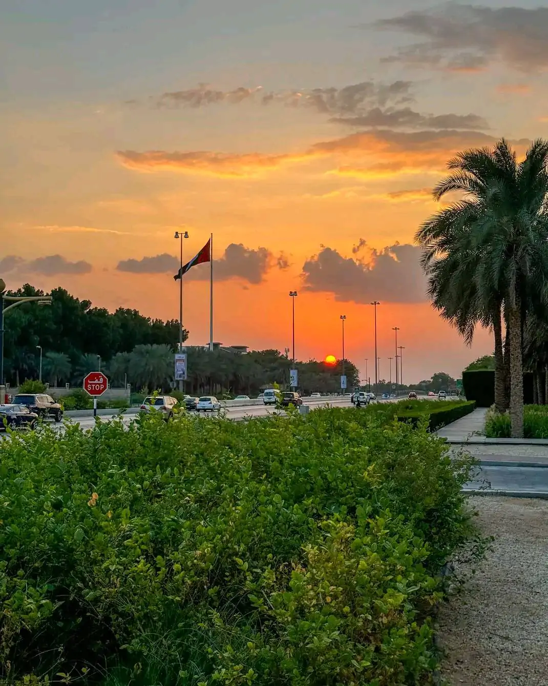From Dubai: Private Al Ain City Tour