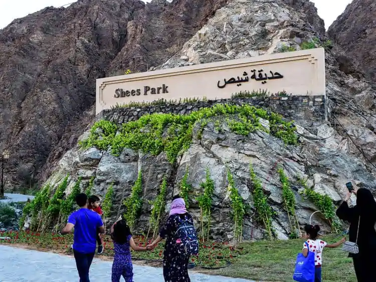 From Dubai: Private Khorfakkan City Tour