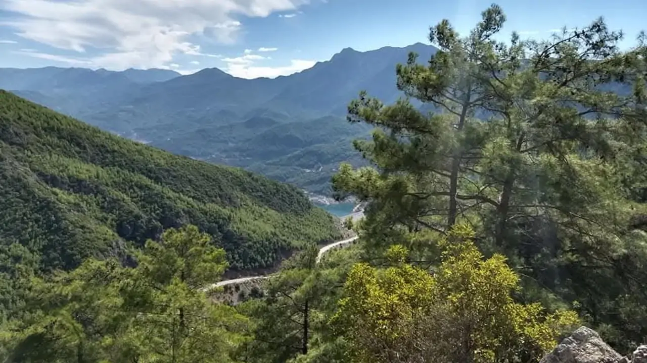 A Day in the Heart of Nature: The Cabrio Safari Village Tour