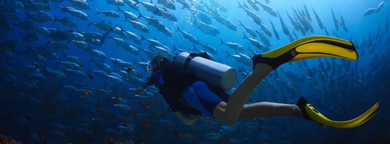 Alanya Tururi de scufundări