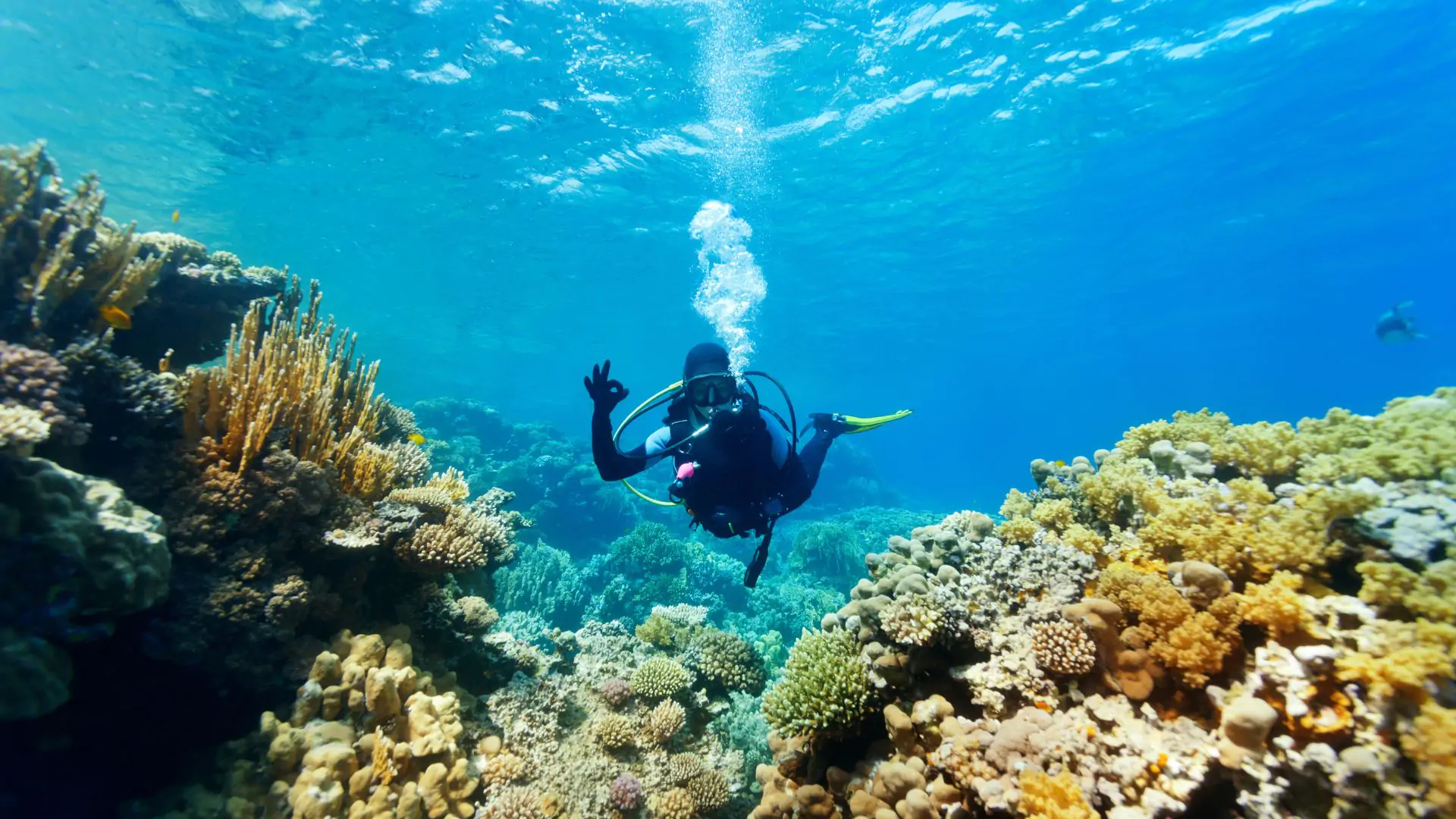 Excursii de scufundări în Antalya