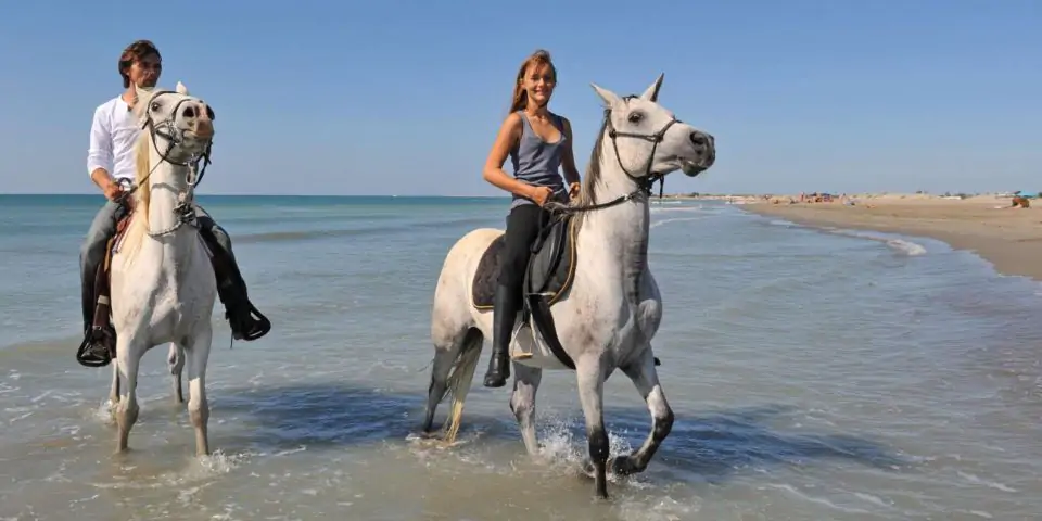 Antalya Reiten