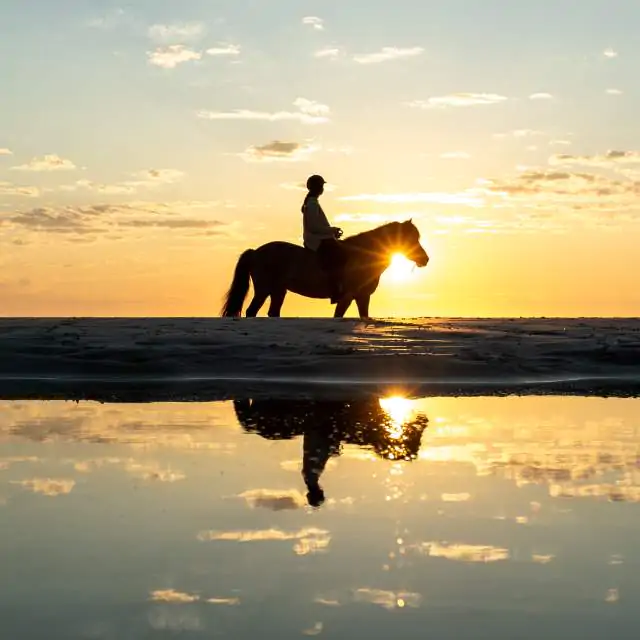 Belek Horse Riding