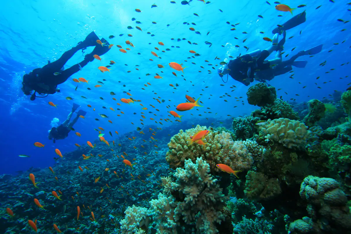 Scufundări la Bodrum