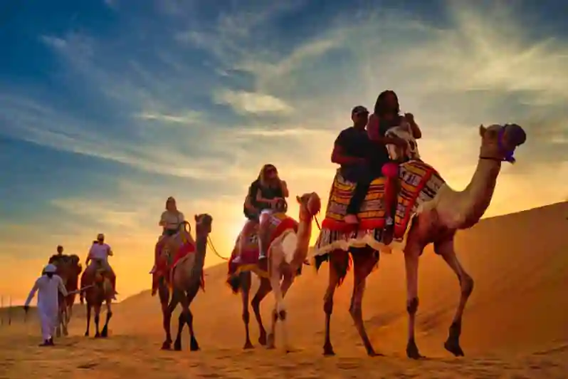 Plimbare cu Cămila în Dubai