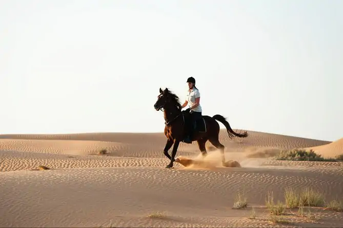 Jazda Konna w Dubaju