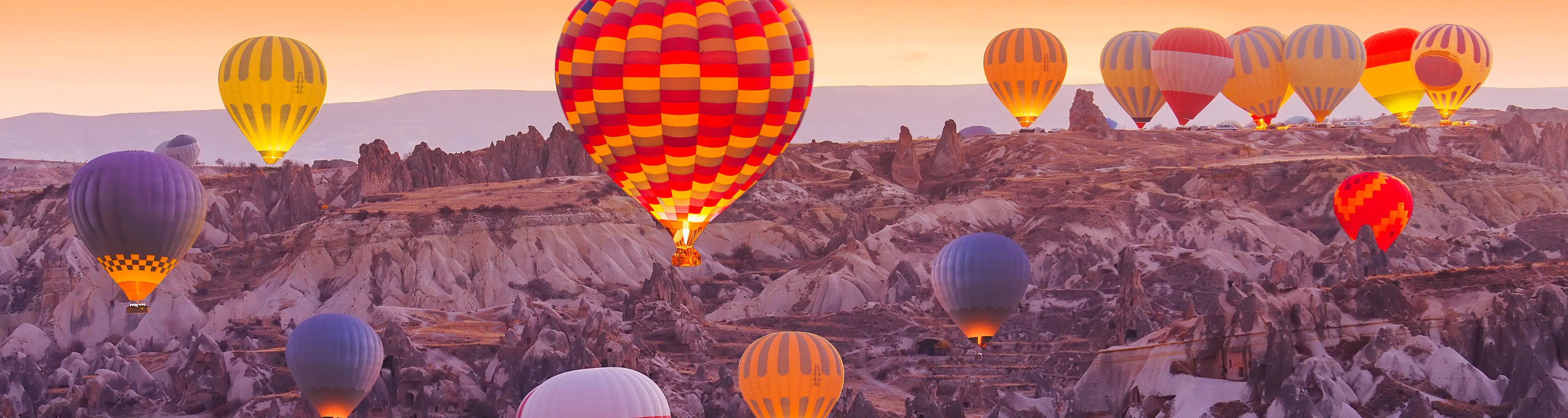 Tururi cu balonul cu aer cald