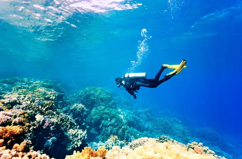 Manavgat Diving Tours