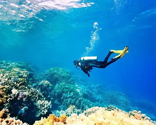 Tururi de scufundări în Oludeniz