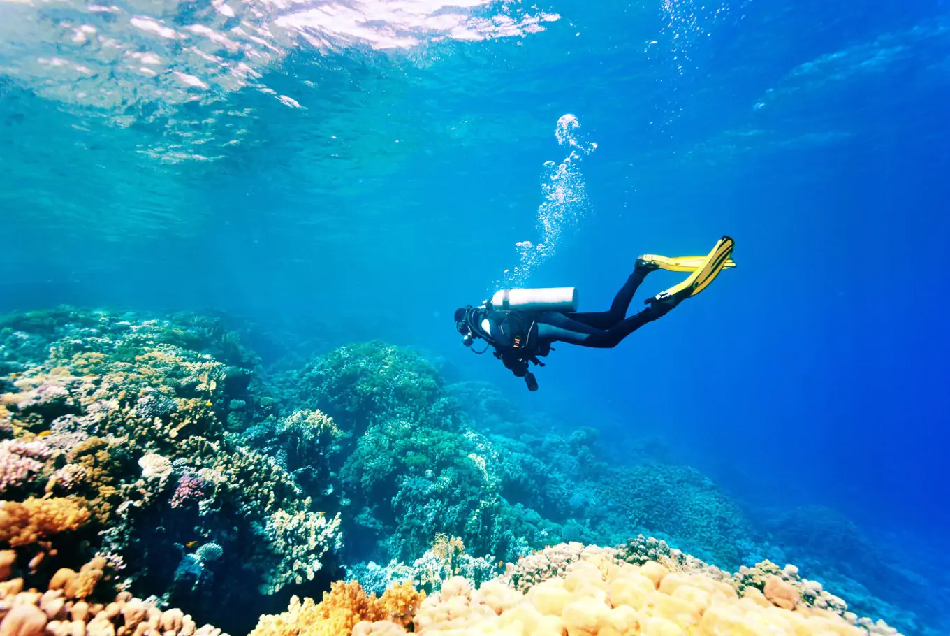 Side Diving Touren