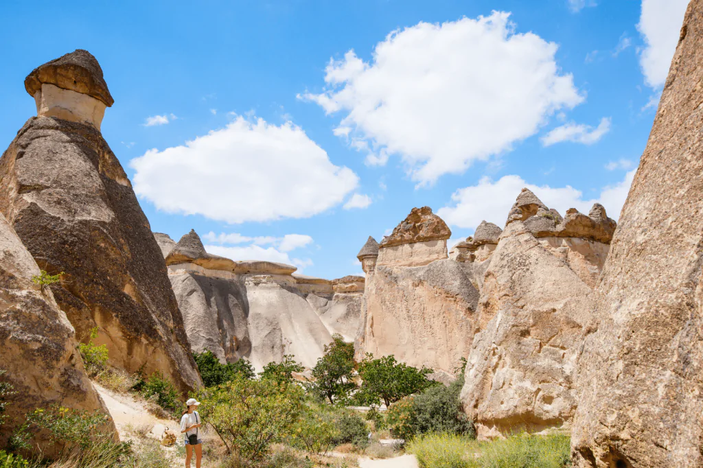 Cappadocia Red Tour w/Lunch