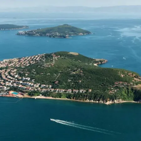 Экскурсия на целый день на остров Принцессы из Стамбула