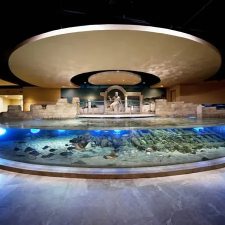 Istanbul Aquarium Tour