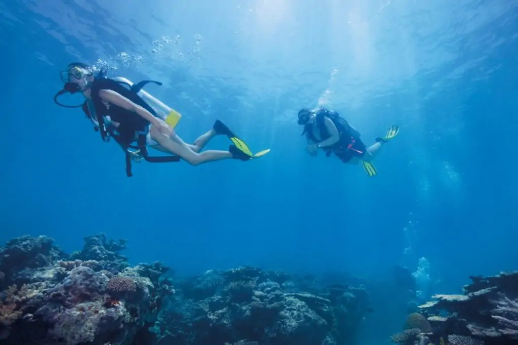 Scuba Diving in Kusadasi