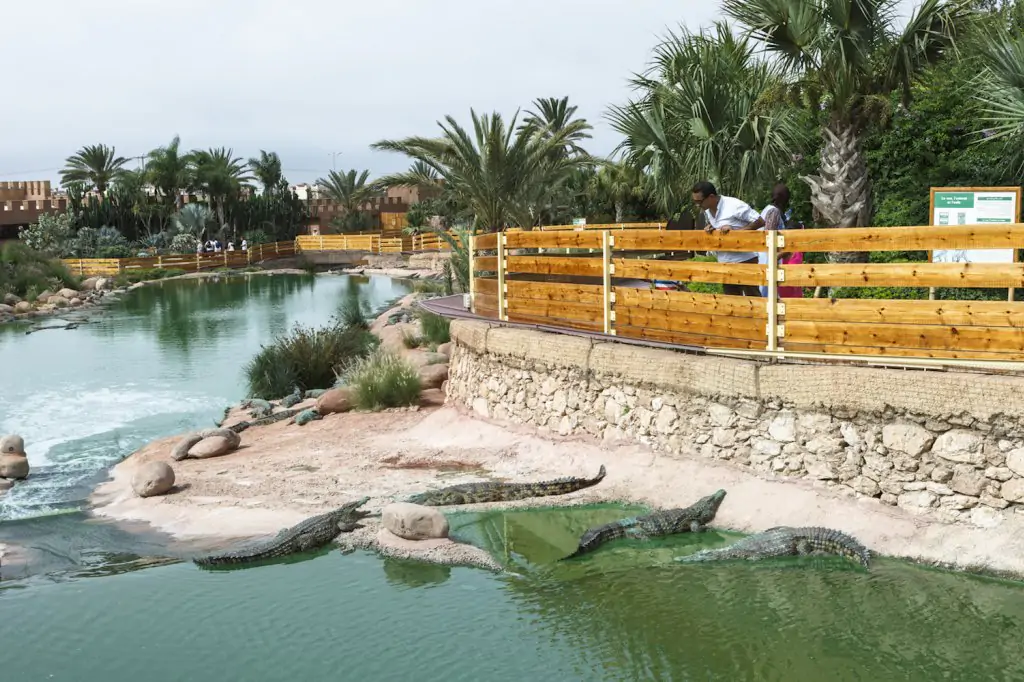 Wycieczka do Crocoparc