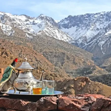 Wycieczka w góry Atlas z Marrakeszu