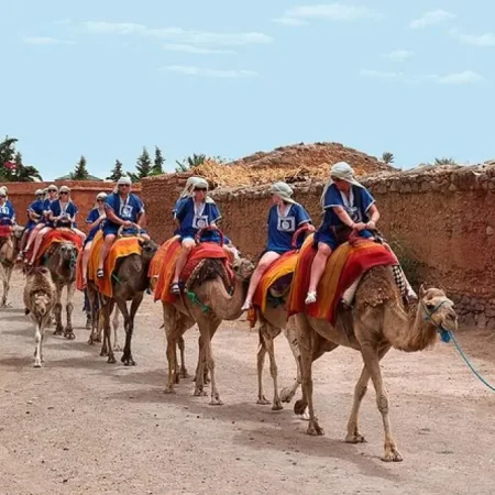 Marrakech Palmeraie: Quad en kameelrit ervaring