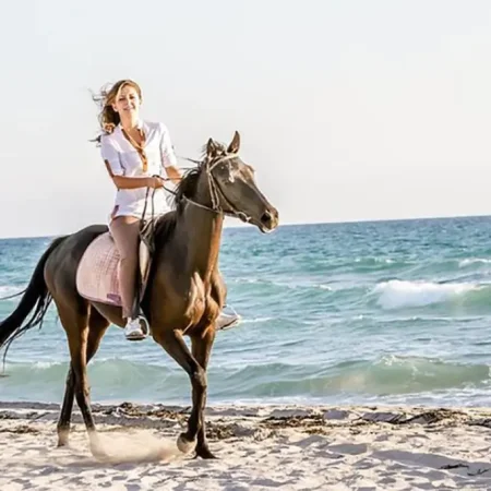 Antalya: Safari konne w lesie i na plaży