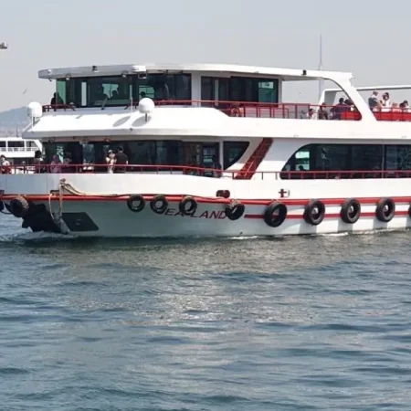 Istanbul: Guided Boat Tour on the Bosphorus