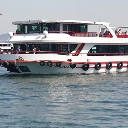 Istanbul: Tur cu barca cu ghid pe Bosfor