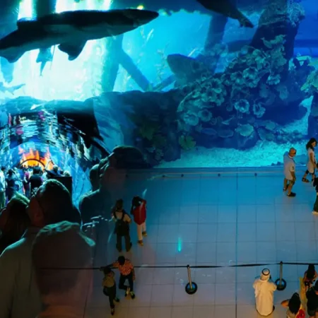 Akwarium i podwodne zoo w centrum handlowym Dubai Mall