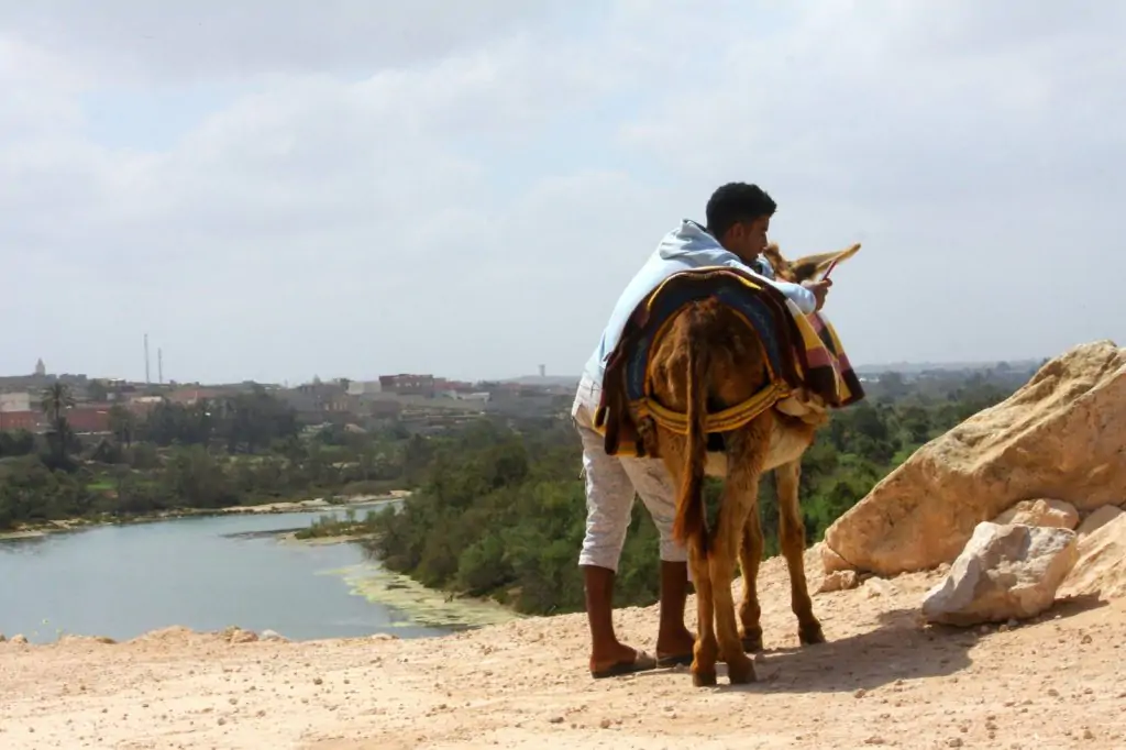 Von Agadir aus: Souss-Massa-Nationalpark-Tour mit Mittagessen