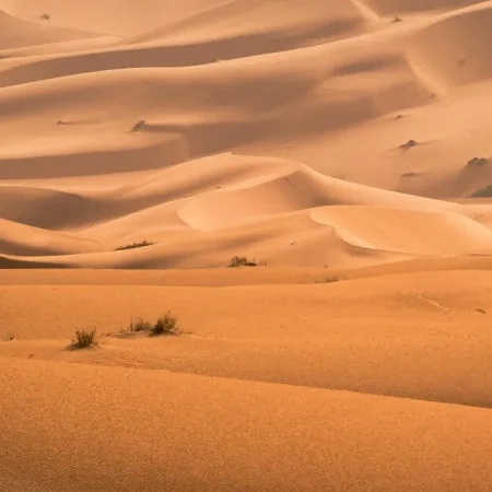 2 Day's Zagora Desert and Atlas Mountains Tour from Marrakech