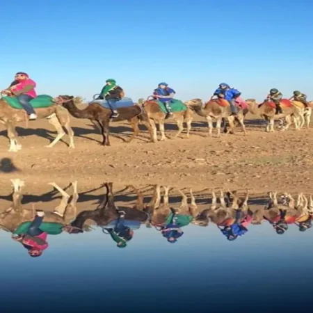 Camel Safari in the Agafay Desert: A Unique Desert Adventure