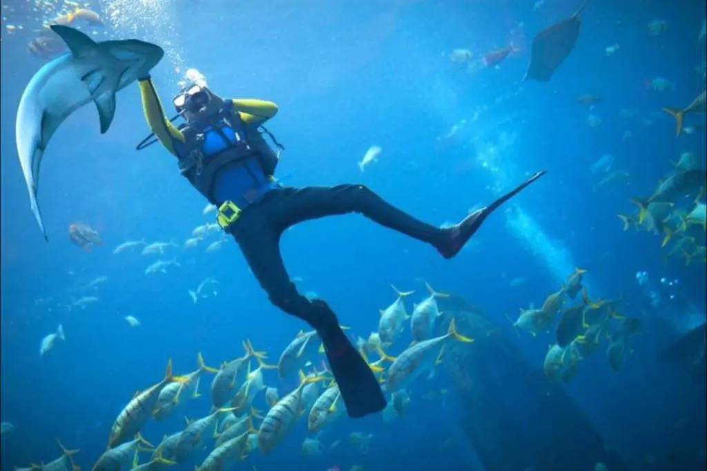 Tauchen in Dubai