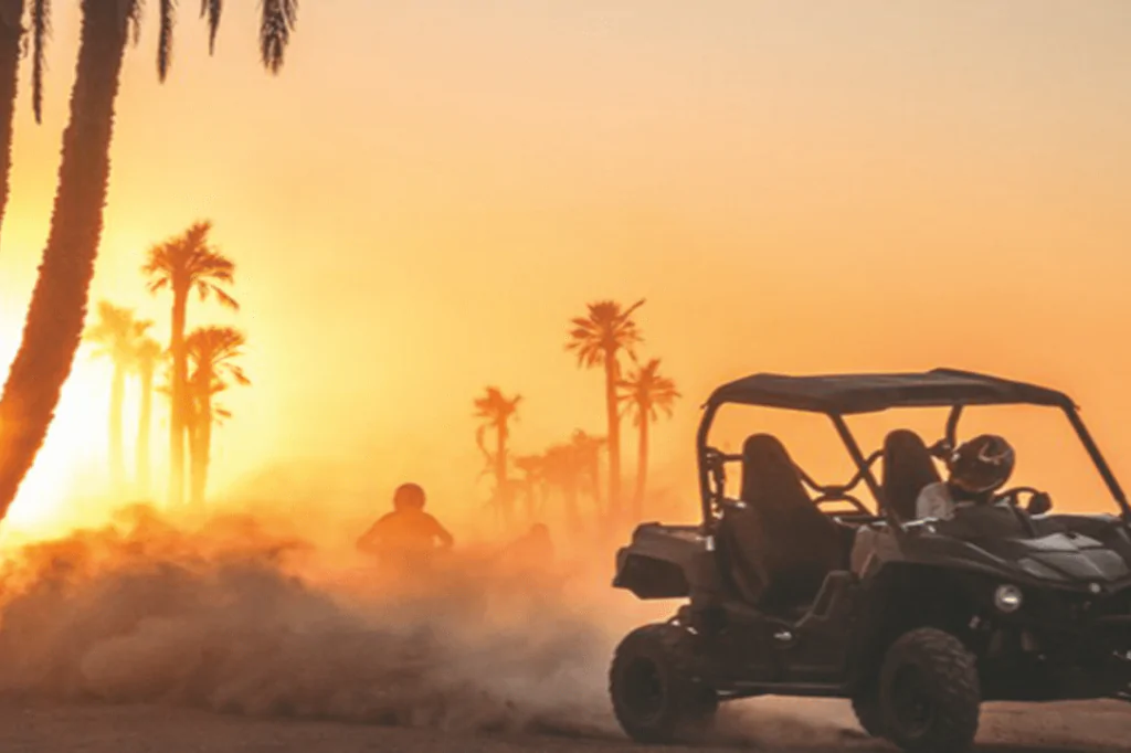 Entdecken Sie Marrakech: Palm Grove Buggy Tour mit authentischem Tee-Erlebnis