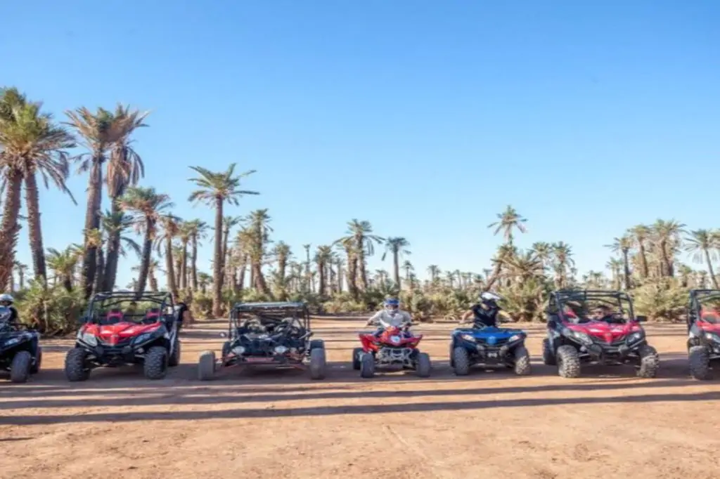 Entdecken Sie Marrakech: Palm Grove Buggy Tour mit authentischem Tee-Erlebnis