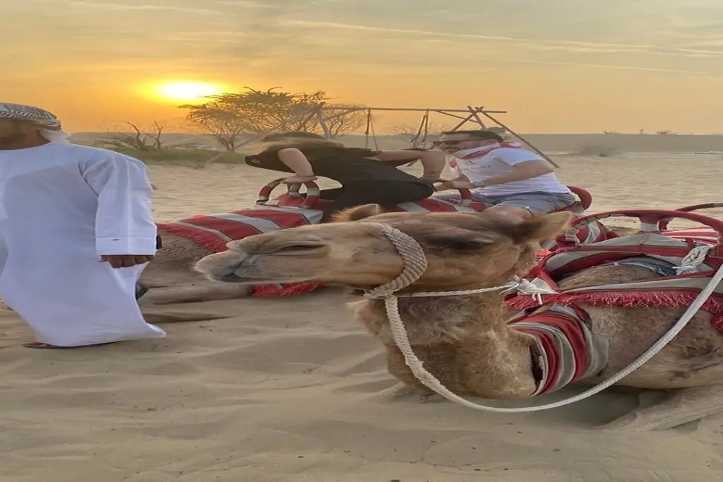 Dubai: Wüstensafari, Quadfahren, Kamelreiten und Abendcamp