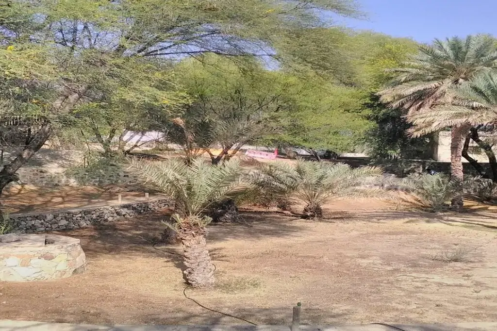 Z Dubaju: Prywatna wycieczka na górę Hatta