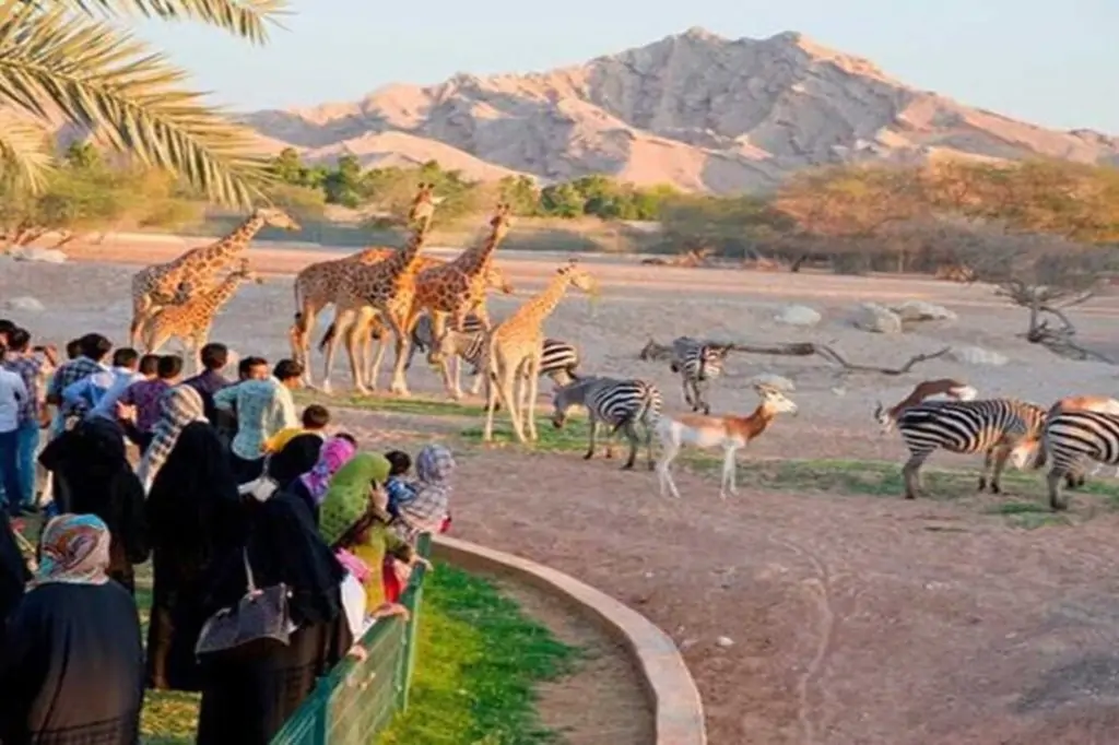 Z Dubaju: Prywatna wycieczka po mieście Al Ain z biletami do zoo