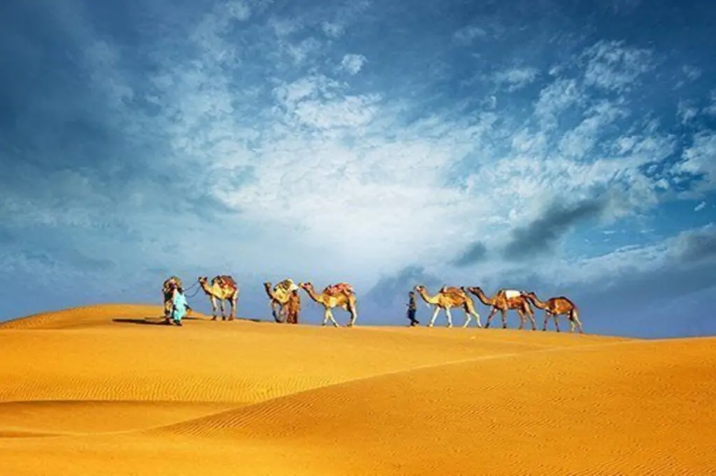 Wycieczka Shared Sunrise Desert Safari z Dubaju dla maksymalnie 2 osób