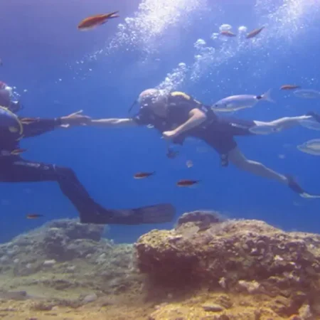 Scuba Diving Tour in Side Underwater Museum