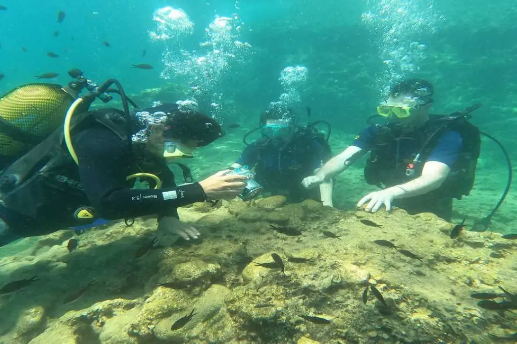Scuba Diving Tour from Alanya (Alaaddin-1 Boat)