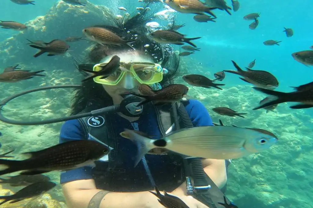 Scuba Diving Tour from Alanya (Alaaddin-1 Boat)