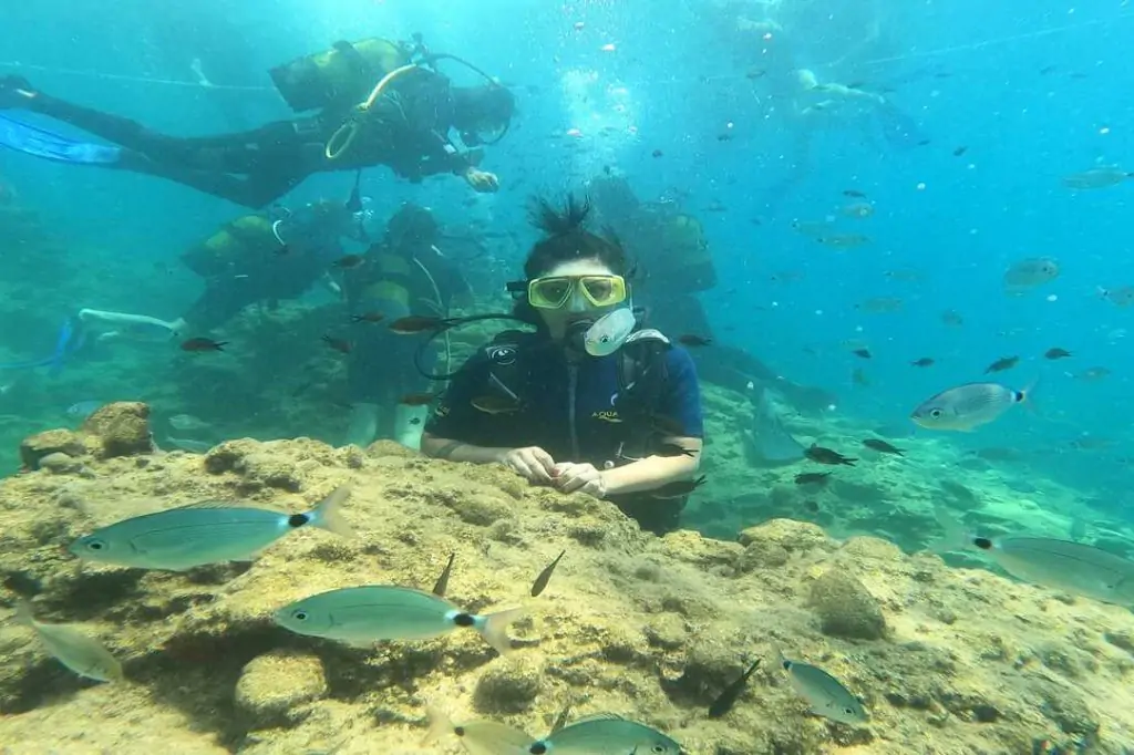 Scuba Diving Tour from Alanya (Alaaddin-1 Boat)