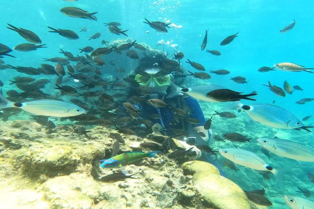 Scuba Diving Tour from Alanya (Alaaddin-1 Boat)