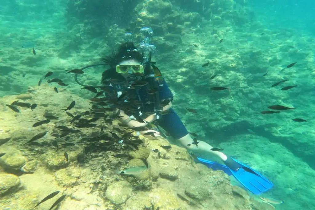 Scuba Diving Tour from Alanya (Alaaddin-1 Boat)